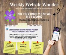 Oct 12 Weekly Website Wonder