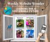 Nov 8 Weekly Website Wonder